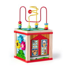 Трудотерапийный деревянный куб активности Woody, 91916 цена и информация | Игрушки для малышей | pigu.lt