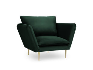 Кресло Mazzini Sofas Verveine, темно-зеленое цена и информация | Кресла в гостиную | pigu.lt