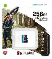 Kingston SDCG3/256GBSP kaina ir informacija | Atminties kortelės telefonams | pigu.lt