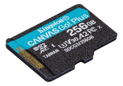 Kingston SDCG3/256GBSP цена и информация | Карты памяти для телефонов | pigu.lt