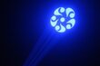 Šviesos efektas „BeamZ Wildflower LED Gobo“ skaitytuvas 1x 10W 4-in-1 LED kaina ir informacija | Dekoracijos šventėms | pigu.lt