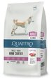 QUATTRO полноценный сухой корм для взрослых собак всех пород с большим количеством ягнятины 3 кг