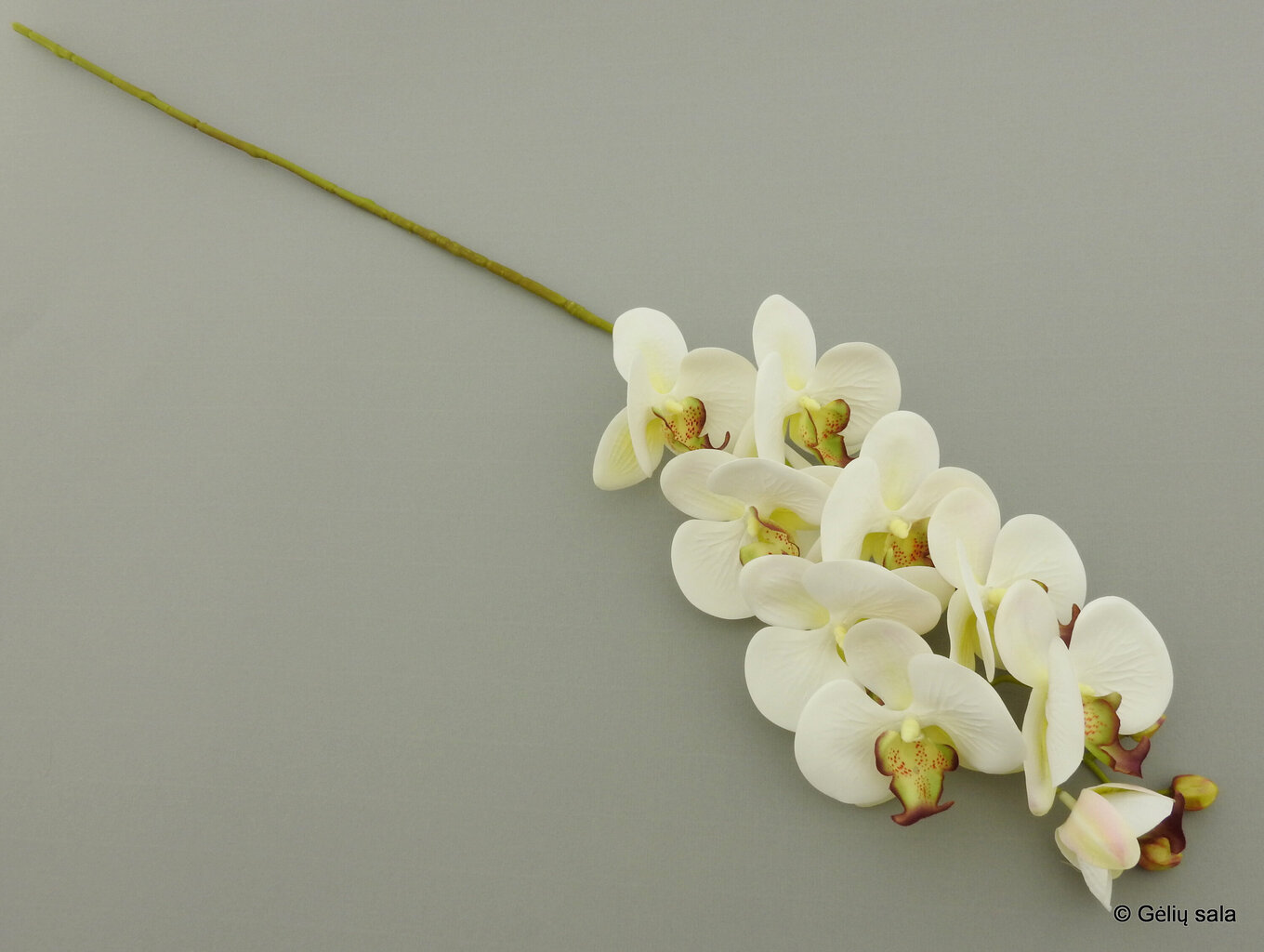 Dirbtinė gėlė - orchidėja цена и информация | Dirbtinės gėlės | pigu.lt