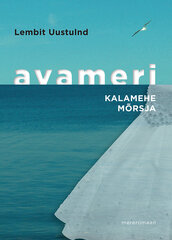 Avameri  II osa цена и информация | Романы | pigu.lt