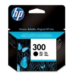 Картридж HP 300 цена и информация | Картриджи для струйных принтеров | pigu.lt