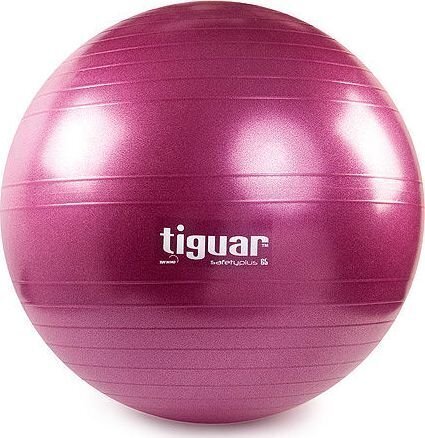 Gimnastikos kamuolys Tiguar Safety Plus, 65 cm kaina ir informacija | Gimnastikos kamuoliai | pigu.lt
