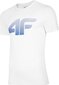 Marškinėliai vyrams 4F balta kaina ir informacija | Vyriški marškinėliai | pigu.lt