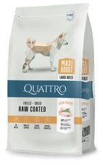 QUATTRO полноценный сухой корм для взрослых собак крупных пород с большим количеством птицы 3 кг цена и информация |  Сухой корм для собак | pigu.lt