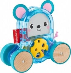 Spalvingi gyvūnai ant ratų Fisher Price kaina ir informacija | Žaislai kūdikiams | pigu.lt