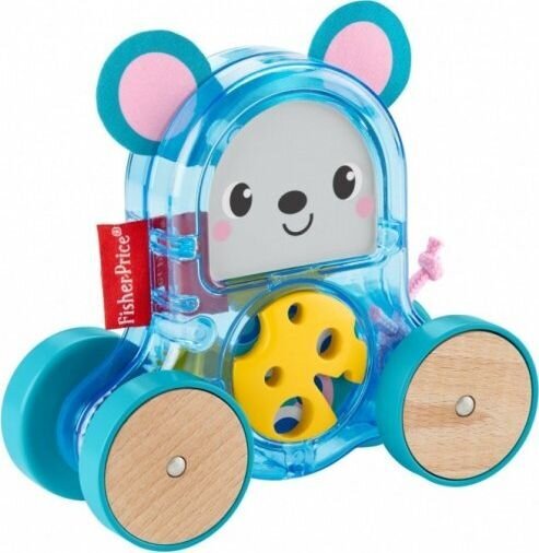 Spalvingi gyvūnai ant ratų Fisher Price цена и информация | Žaislai kūdikiams | pigu.lt