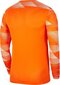 Nike vyriški marškinėliai Park IV GK CJ6066 819 CJ6066 819, oranžiniai kaina ir informacija | Vyriški marškinėliai | pigu.lt