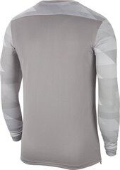 Nike vyriški marškinėliai Park IV GK CJ6066 052 CJ6066 052, pilki kaina ir informacija | Vyriški marškinėliai | pigu.lt