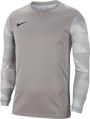 Nike мужская футболка Park IV GK CJ6066 052 CJ6066 052, серая цена и информация | Мужские футболки | pigu.lt
