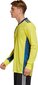 Vartininko džemperis Adidas AdiPro 20 GK M FI4195, geltonas kaina ir informacija | Futbolo apranga ir kitos prekės | pigu.lt