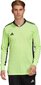 Vartininko džemperis Adidas AdiPro 20 GK M FI4192, žalias kaina ir informacija | Futbolo apranga ir kitos prekės | pigu.lt