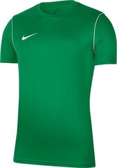 Футболка Nike JR Park 20, зеленая цена и информация | Футбольная форма и другие товары | pigu.lt