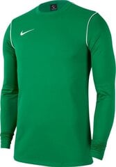 Futbolo megztinis Nike JR Park 20 Crew, žalias цена и информация | Футбольная форма и другие товары | pigu.lt