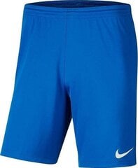 Мужские шорты Nike BV6855 463, синие цена и информация | Мужские шорты | pigu.lt