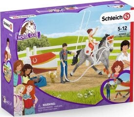 Figurėlės Schleich Horse Club Mias kaina ir informacija | Lavinamieji žaislai | pigu.lt