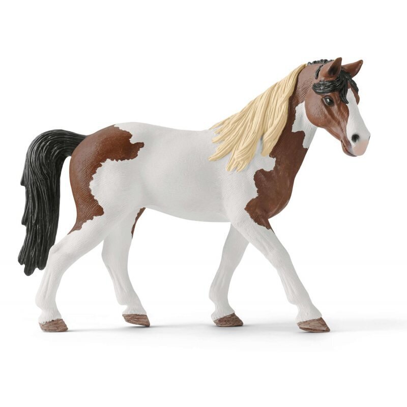 Hannos vesterno jodinėjimo rinkinys Horse Club Schleich, 42441 kaina ir informacija | Žaislai mergaitėms | pigu.lt