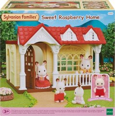 Дачный домик Sylvanian families  цена и информация | Развивающие игрушки | pigu.lt