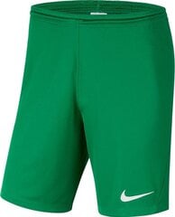 Nike мужские шорты Dry Park III BV6855 302, зеленые цена и информация | Мужская спортивная одежда | pigu.lt