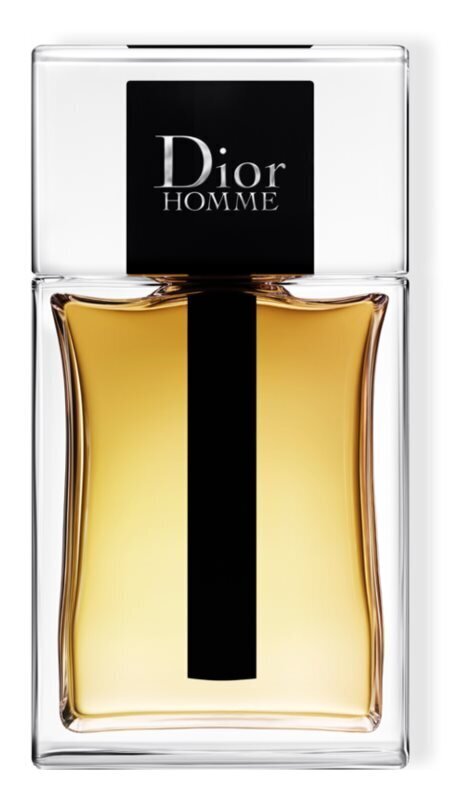 Tualetinis vanduo Dior Dior Homme EDT vyrams 100 ml цена и информация | Kvepalai vyrams | pigu.lt