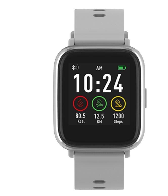 Denver SW-161 Grey kaina ir informacija | Išmanieji laikrodžiai (smartwatch) | pigu.lt