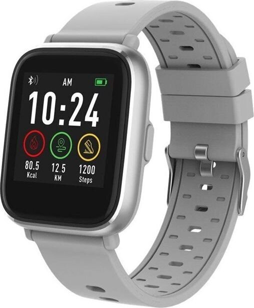 Denver SW-161 Grey kaina ir informacija | Išmanieji laikrodžiai (smartwatch) | pigu.lt