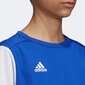 Marškinėliai adidas Estro 19 Jersey mėlyna DP3231/DP3217 kaina ir informacija | Futbolo apranga ir kitos prekės | pigu.lt