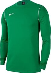 Futbolo megztinis Nike Park 20 Crew, žalias цена и информация | Футбольная форма и другие товары | pigu.lt