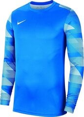 Джемпер Nike Y Park IV GK Boys CJ6072 463, синий цена и информация | Футбольная форма и другие товары | pigu.lt