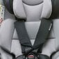 Automobilinė kėdutė 4Baby Roto-Fix, 0-36 kg, pilka kaina ir informacija | Autokėdutės | pigu.lt