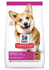 Hill's Sience Plan Small & Mini Adult ėdalas šunims su ėriena ir ryžiais, 1,5 kg kaina ir informacija | Sausas maistas šunims | pigu.lt