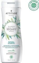Plaukus tvirtinantis šampūnas sausiems plaukams Attitude Super Leaves Nourishing & Strengthening 473 ml kaina ir informacija | Šampūnai | pigu.lt