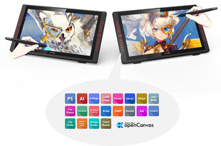Планшет графический XP-Pen Artist 22R Pro цена и информация | Планшеты | pigu.lt