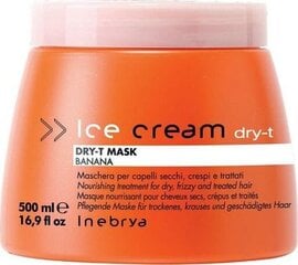 Matinanti/atkurianti plaukų kaukė sausiems plaukams Inebrya Ice Cream Dry-T Mask, 500ml kaina ir informacija | Balzamai, kondicionieriai | pigu.lt