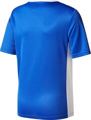 Marškinėliai vyrams Adidas mėlyna kaina ir informacija | Futbolo apranga ir kitos prekės | pigu.lt