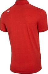 Polo marškiniai vyrams 4F raudona kaina ir informacija | Vyriški marškinėliai | pigu.lt