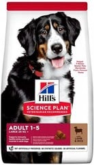 Корм для собак Hill's Sience Plan Large Breed Adult с бараниной и рисом, 14 кг цена и информация | Сухой корм для собак | pigu.lt