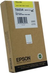 Epson C13T603400 kaina ir informacija | Kasetės rašaliniams spausdintuvams | pigu.lt