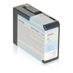 Epson C13T580500 kaina ir informacija | Kasetės rašaliniams spausdintuvams | pigu.lt