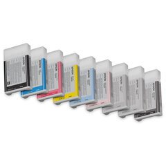 Epson C13T603900 kaina ir informacija | Kasetės rašaliniams spausdintuvams | pigu.lt