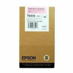 Epson C13T603600 kaina ir informacija | Kasetės rašaliniams spausdintuvams | pigu.lt