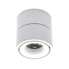 Tope Lighting baltas LED šviestuvas Oslo 15W kaina ir informacija | Lubiniai šviestuvai | pigu.lt