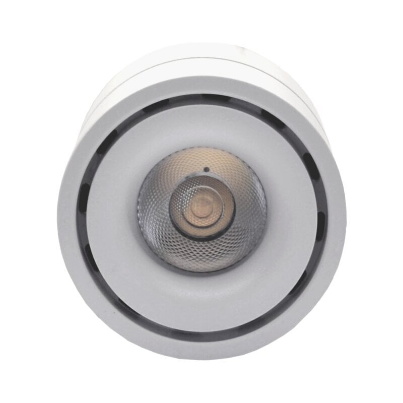 Tope Lighting baltas LED šviestuvas Oslo 15W kaina ir informacija | Lubiniai šviestuvai | pigu.lt
