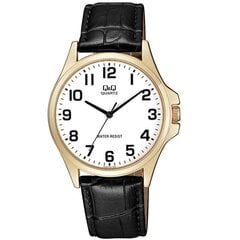 Laikrodis Q&Q QA06J104Y kaina ir informacija | Vyriški laikrodžiai | pigu.lt