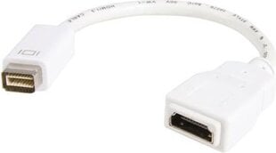 Адаптер StarTech MDVIHDMIMF mini DVI для HMDI цена и информация | Адаптеры, USB-разветвители | pigu.lt
