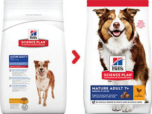 Hill's Science Plan Medium Mature Adult 7+ ėdalas šunims su vištiena, 2,5 kg kaina ir informacija | Sausas maistas šunims | pigu.lt