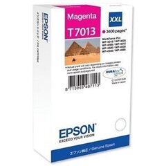 Epson C13T70134010 цена и информация | Картриджи для струйных принтеров | pigu.lt